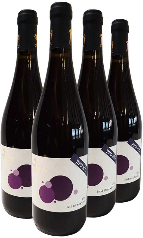 רביעיית סוסון ים פילד בלנד בר גיורא